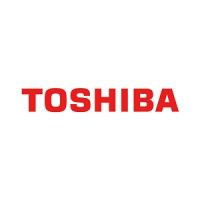 Toshiba America Energy Systems Corporation