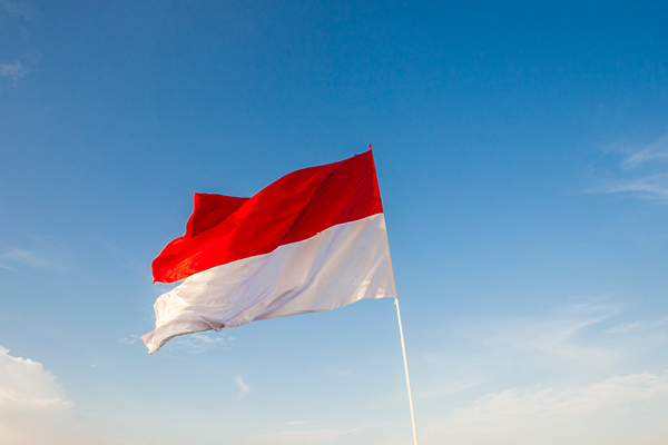 JERA will oversee a collaboration between multiple companies to study CCS Indonesia power plants