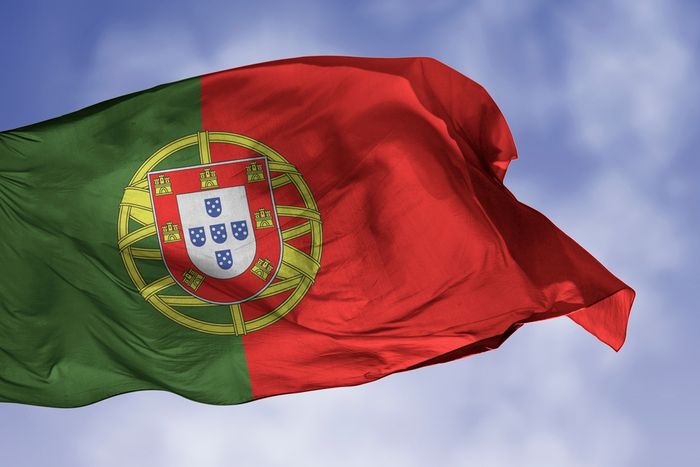 Canadian Neogreen Hydrogen and Portuguese Frequent Summer to Develop Green Hydrogen Plant in Portugal