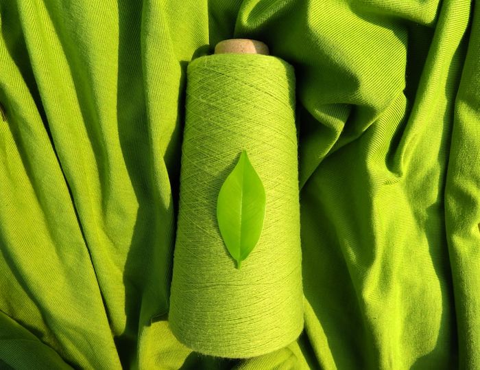 Modern Synthesis Secures Funding and Hopes to End Fashion Industry Plastic Pollution