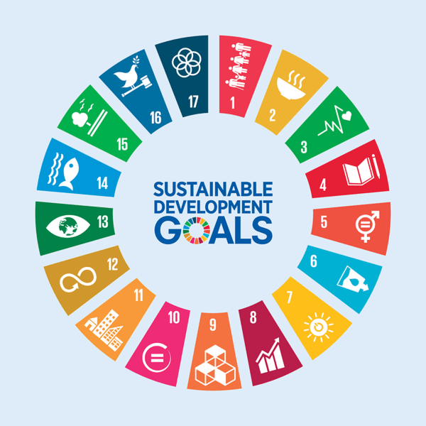 Align With The UN Sustainable Development Goals