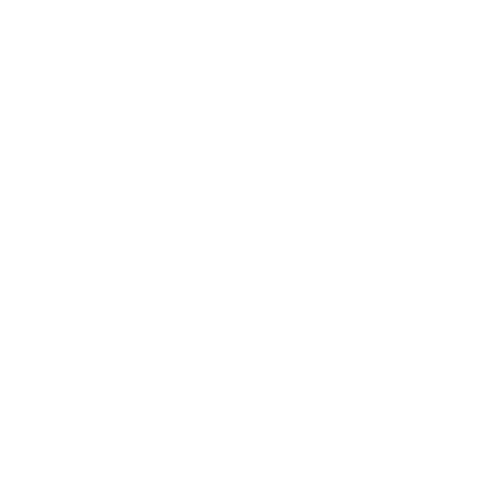 video formats icon