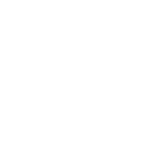 life video icon