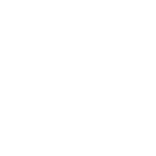 videographer icon