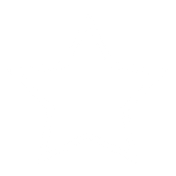 star icon