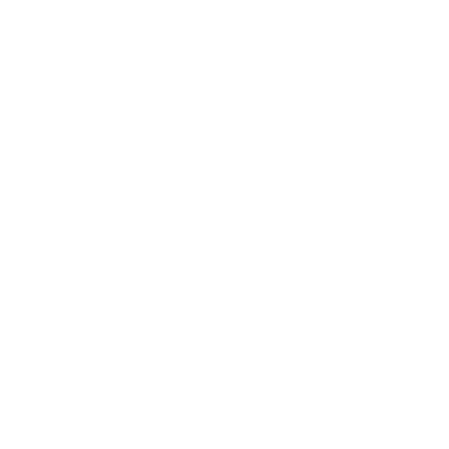 videographer icon
