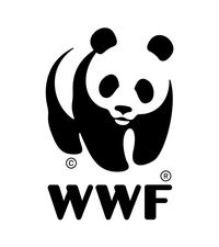 Company name - WWF
