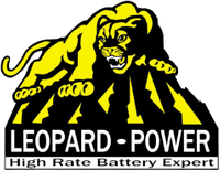 Company name - Leopard Power Co. Limited