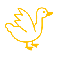 Company name - Ay Up Duck Aerospace