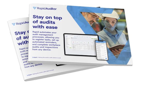Rapid Auditor
