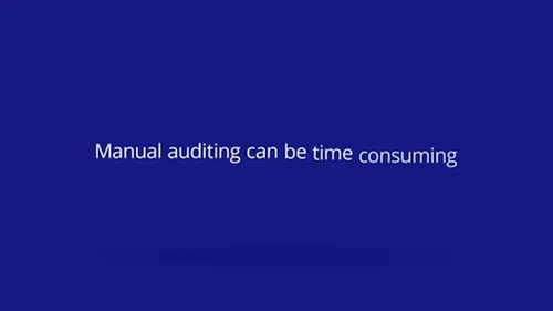 Rapid Auditor