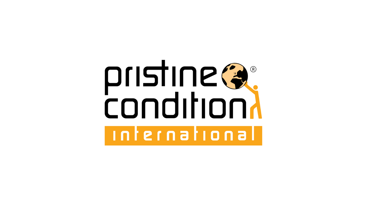 Cover image - Pristine Condition