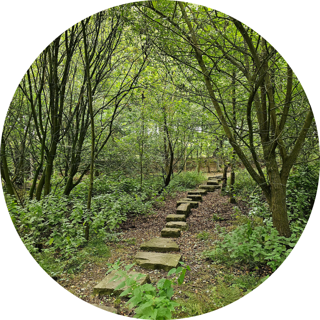 Cover image - Hawk and Heath