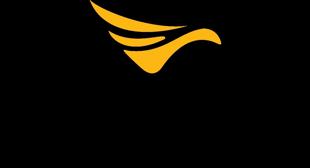 Cover image - Volatus Aerospace