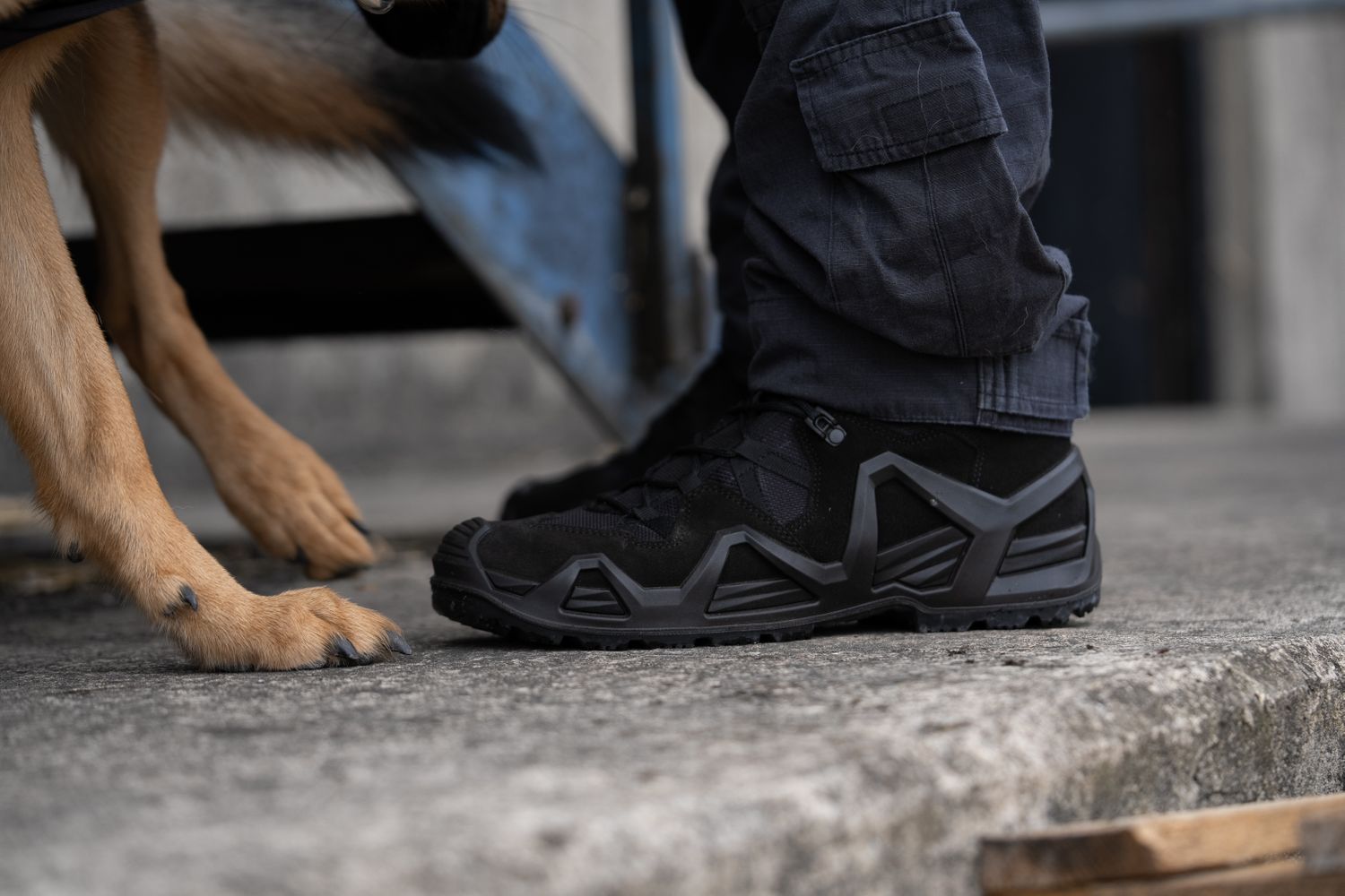 Cover image - Task Force Distribution LTD