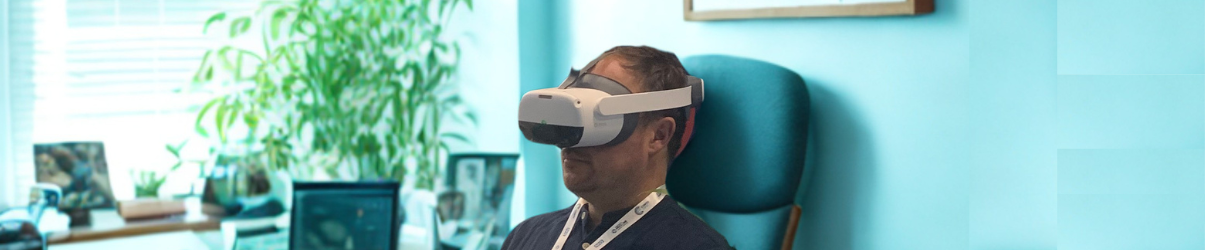 Cover image - The Virtual Hippo