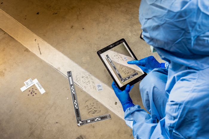bdna forensics