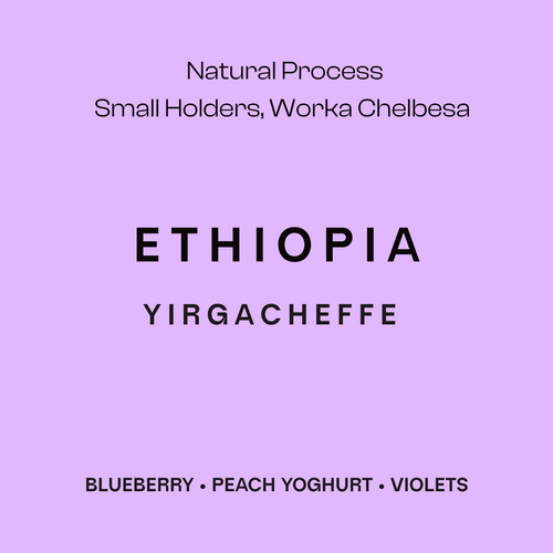 ETHIOPIA - FILTER