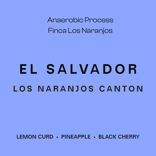 EL SALVADOR - FILTER