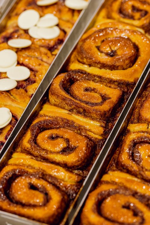 Schnecken