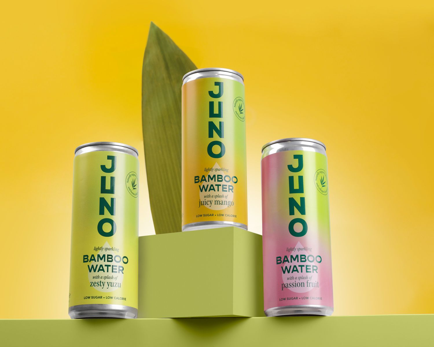 Juno Bamboo Water