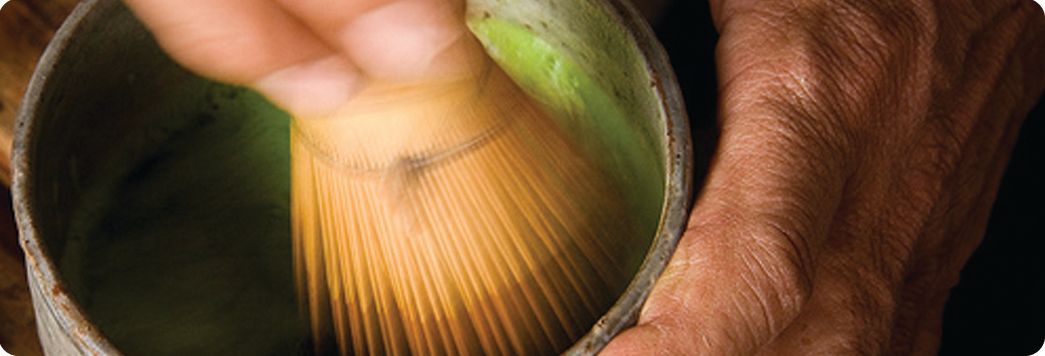 Koyu Matcha