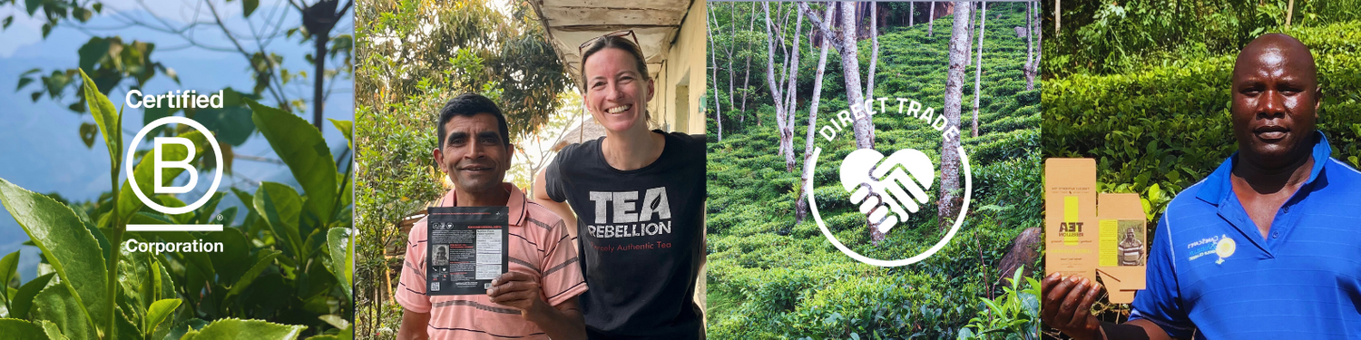Tea Rebellion