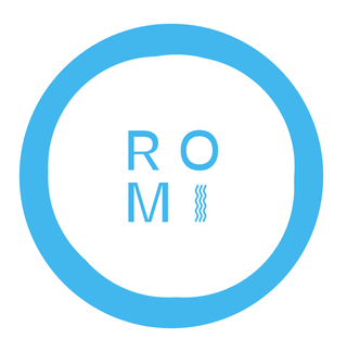 Exhibitor profile image for Romi Matcha