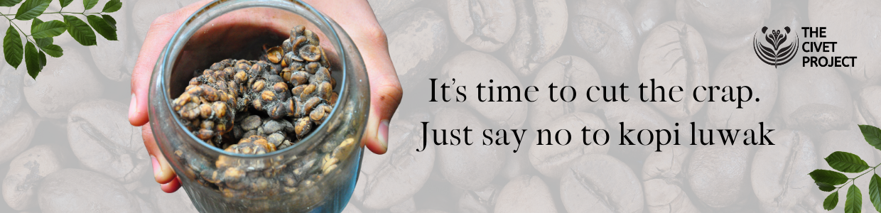 Cover image - The Civet Project