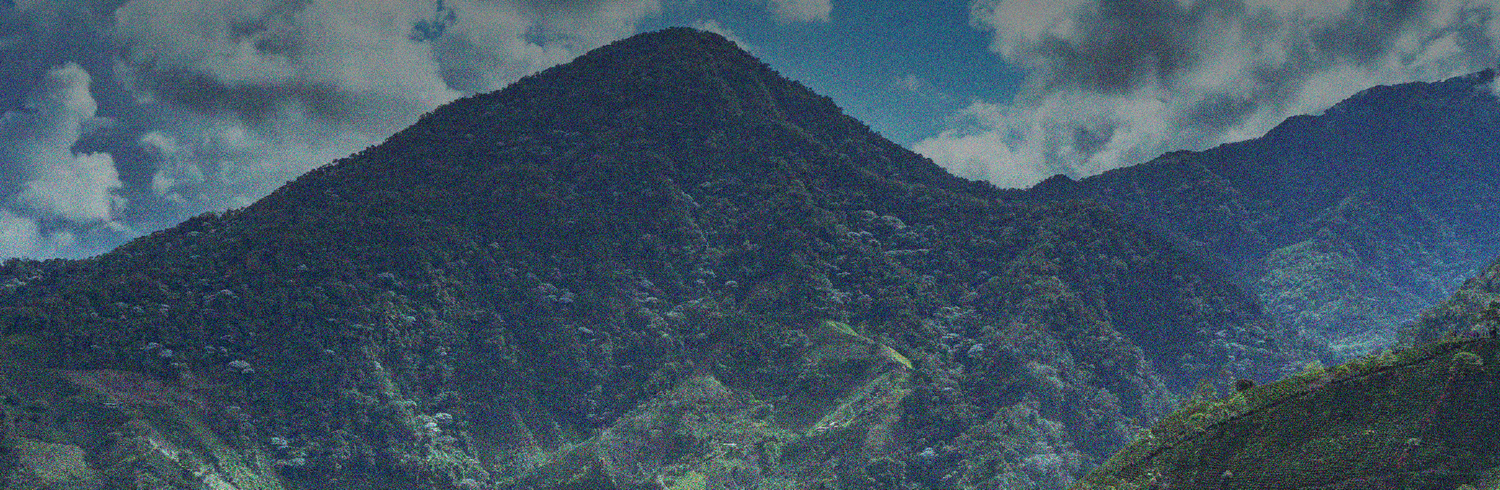 Caravan