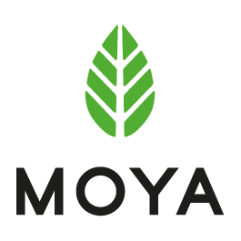 MOYA Matcha