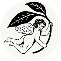 Company name - Nuditea