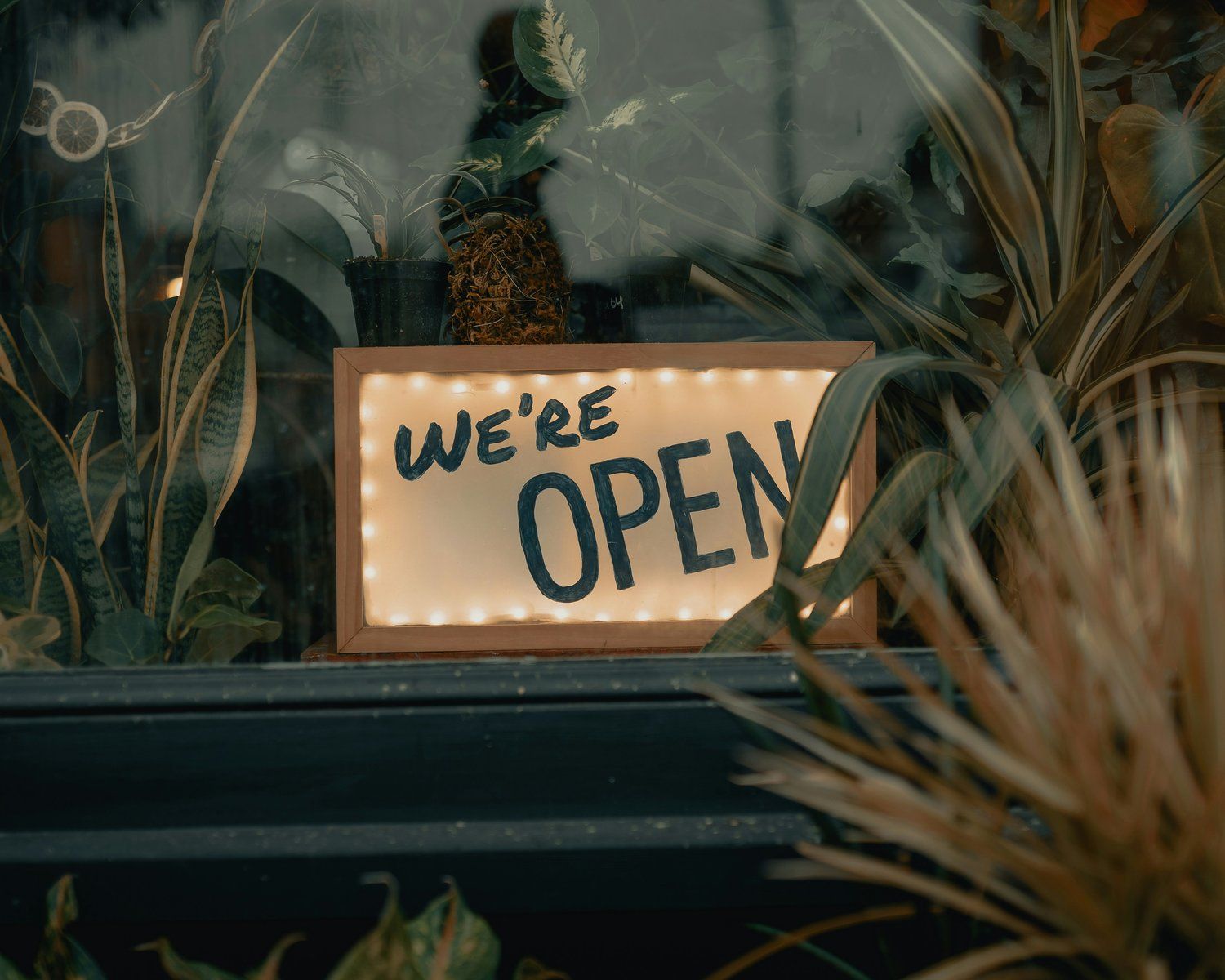 How to Open a Coffee Shop That Survives the First Year