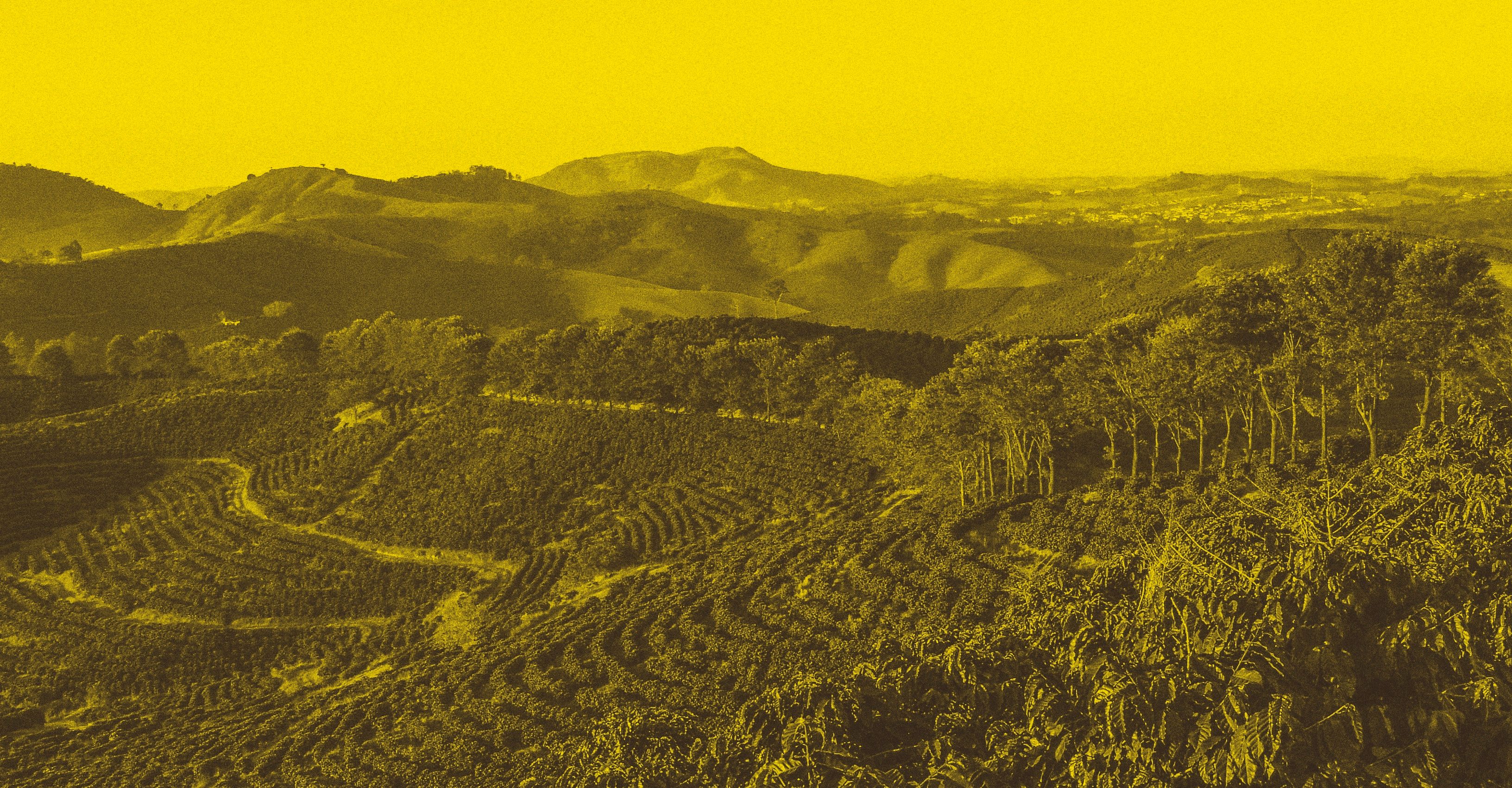Caravan Coffee Roasters Sponsoring Coffee Masters & Unveiling New Look