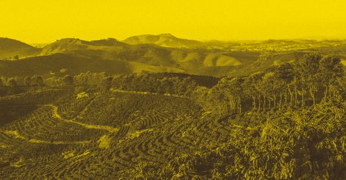 Caravan Coffee Roasters Sponsoring Coffee Masters & Unveiling New Look