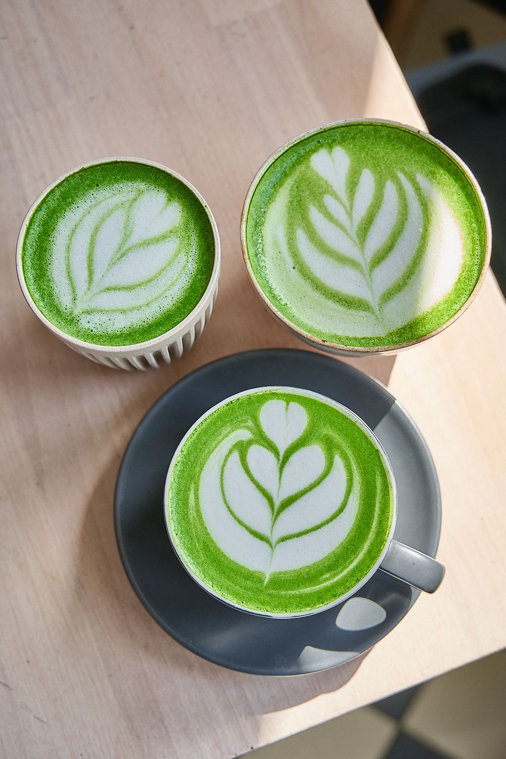 From Plant to Cup: The Art of Cultivating Premium Matcha (and How to Spot the Real Deal)