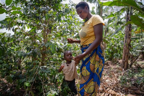 Supporting coffee farmers