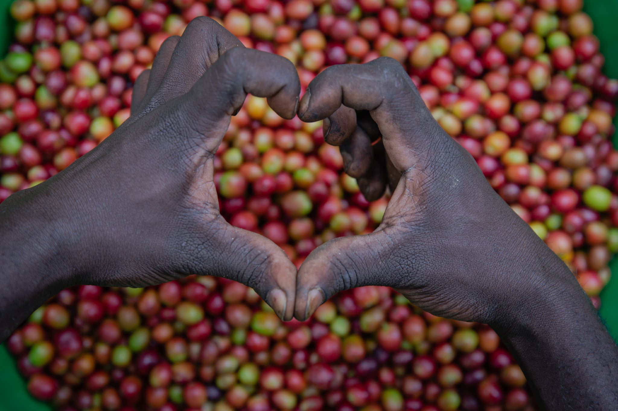 I person making a heart in their hands