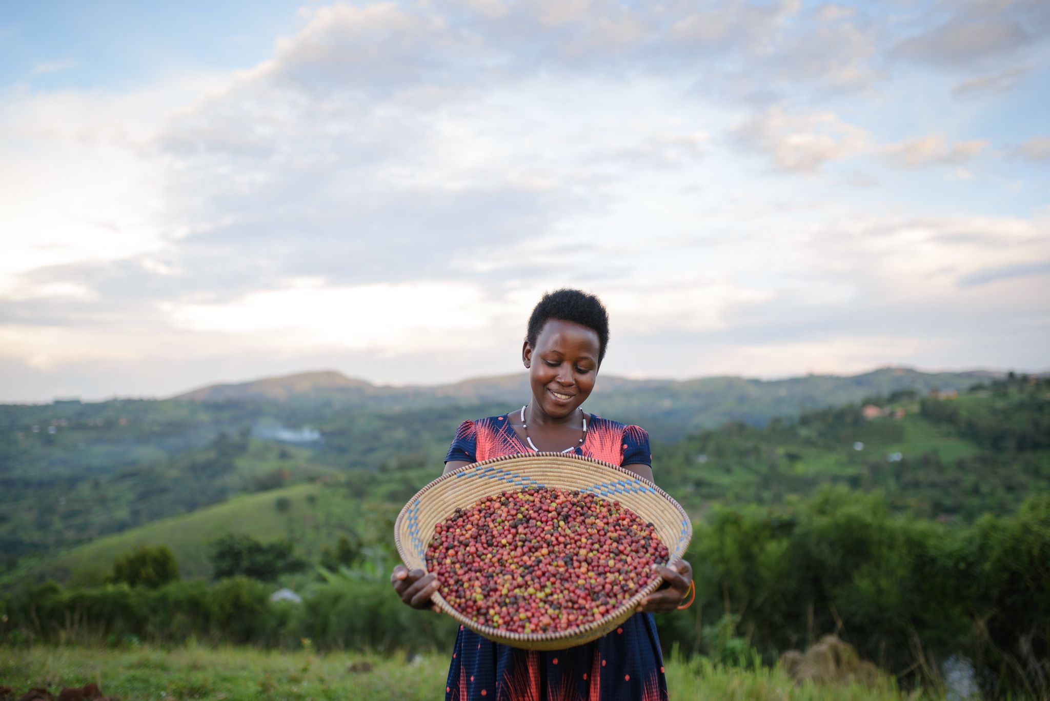 Woman holding coffee cherries
