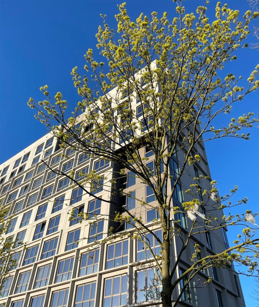 Hotel Jansen Amsterdam Bajeskwartier