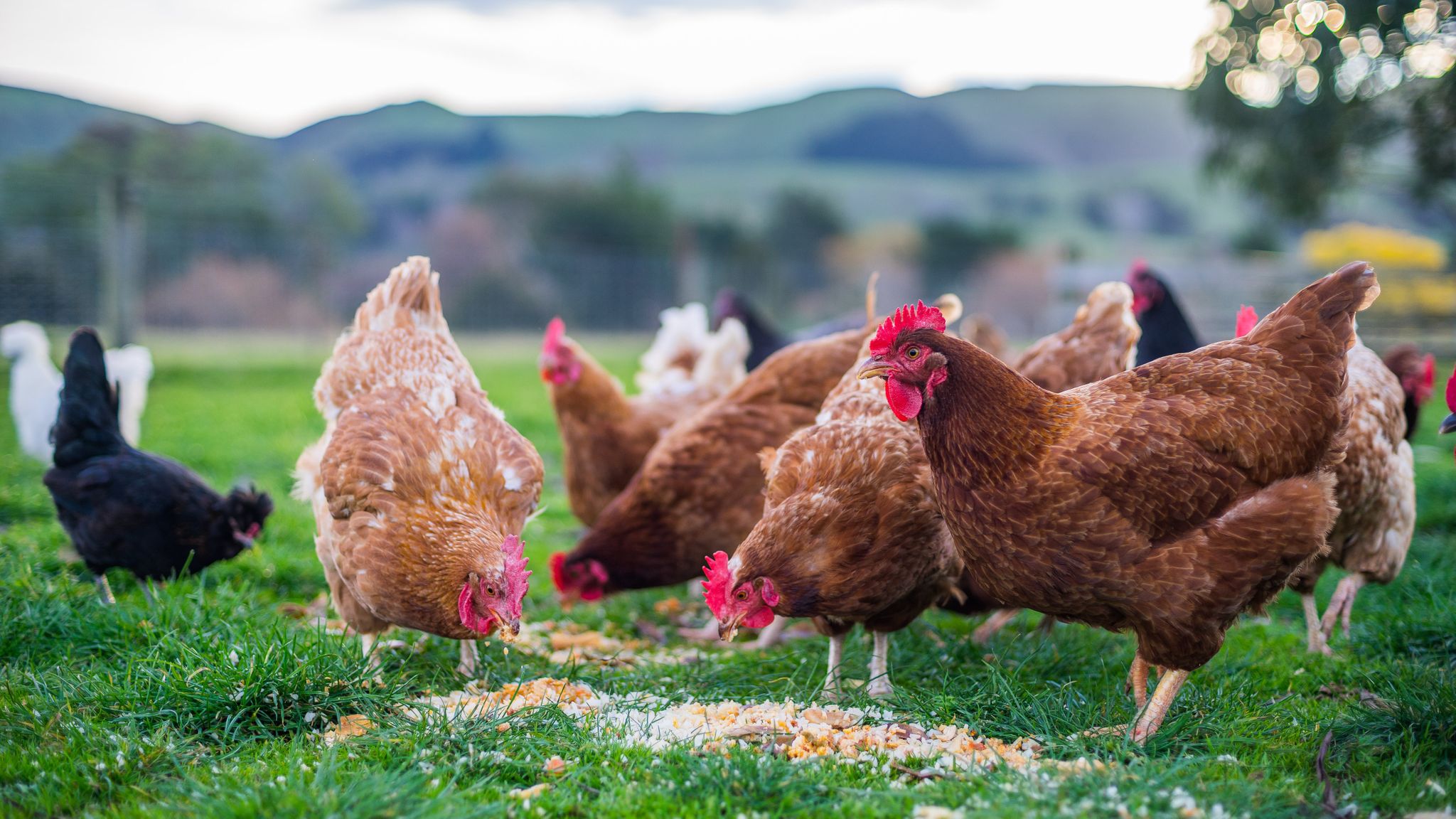 Bolstering Biosecurity