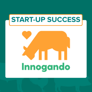 Start-Up Success: Innogando