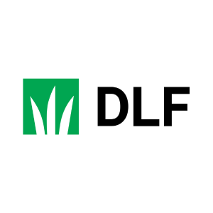 DLF