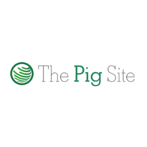 THE PIG SITE