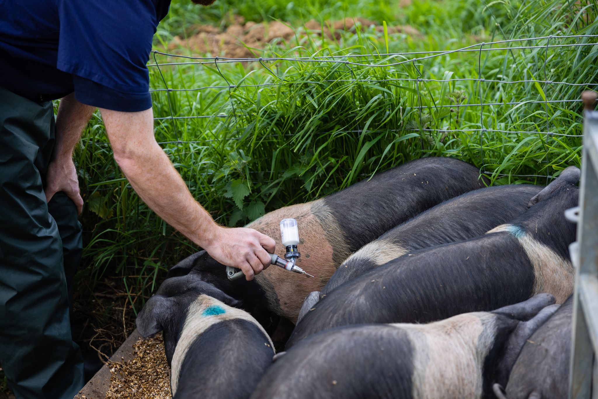 Next-Gen Health and Biosecurity