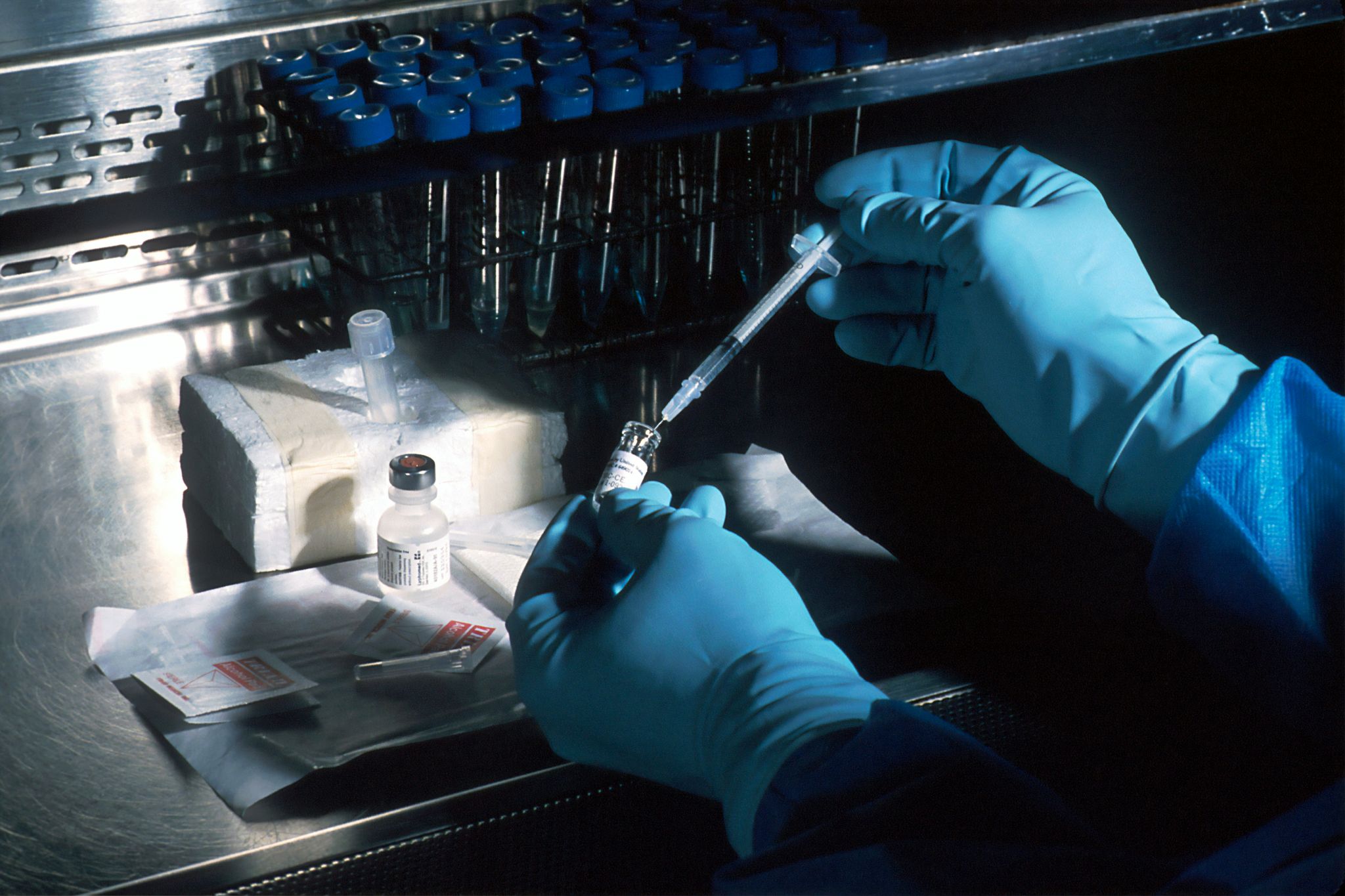 Precision Livestock Genetics