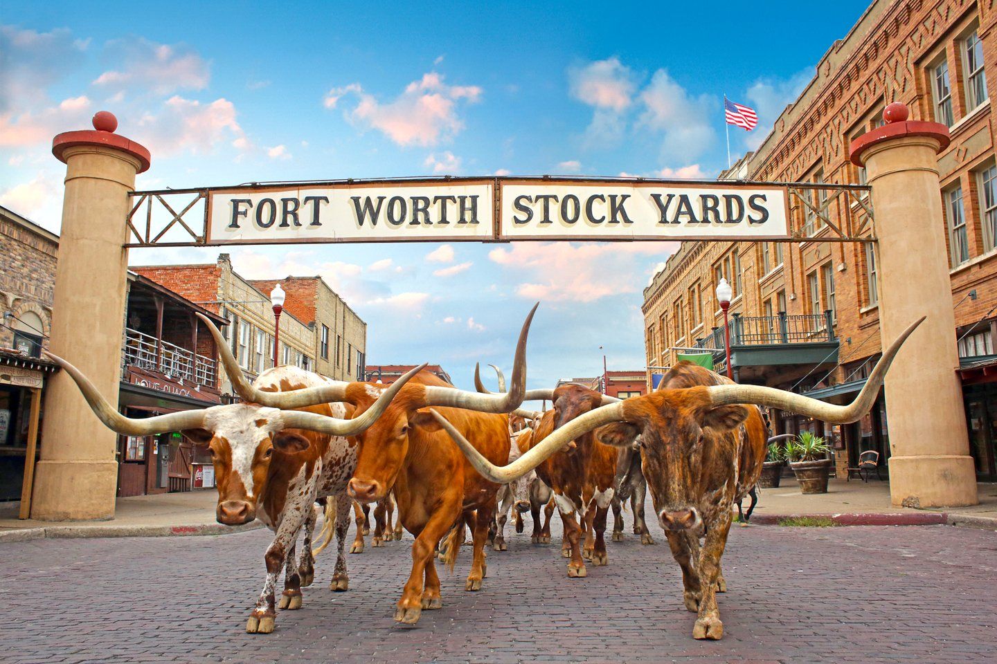 Stockyards