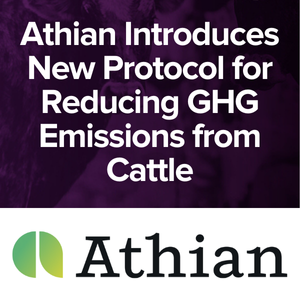 Athian Introduces New Protocol for Reducing GHG Emissions from Cattle