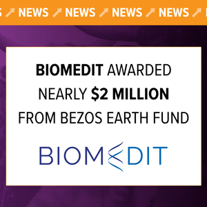 BiomEdit Awarded Nearly $2 Million from Bezos Earth Fund to Advance AI Model for Methane-Reduction Strategies in Cattle