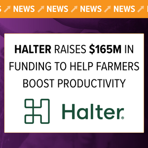 Halter raises $165M in funding to help farmers boost productivity